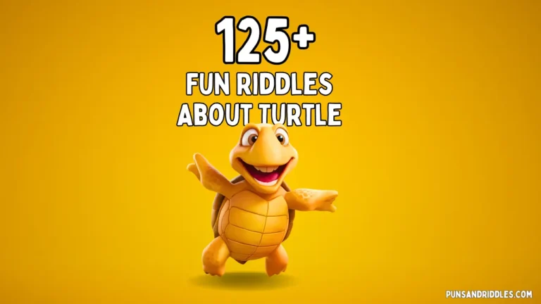 Fun Riddles About Turtle