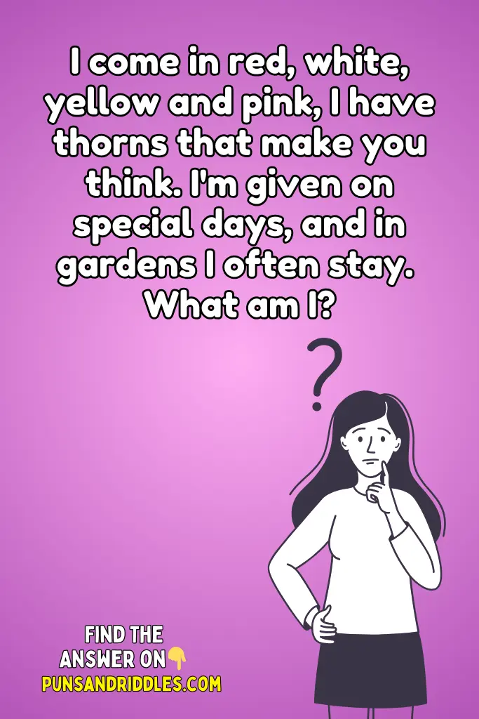 Popular Riddles About Roses With Answers