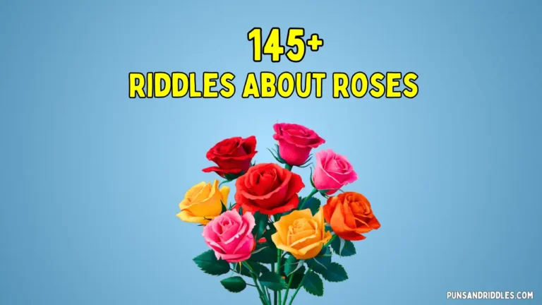 Riddles About Roses